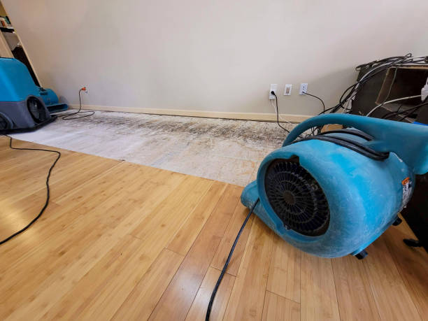 Professional Emergency Water Damage technician working in Smithfield, OH